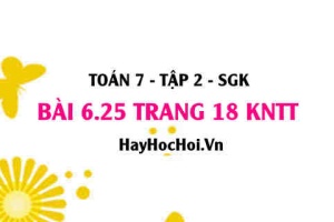 Bài 6.25 trang 18 Toán 7 Tập 2 Kết nối tri thức